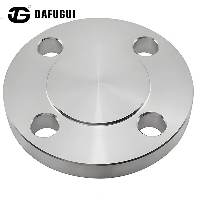 316 স্টেইনলেস স্টীল অন্ধ flanges
