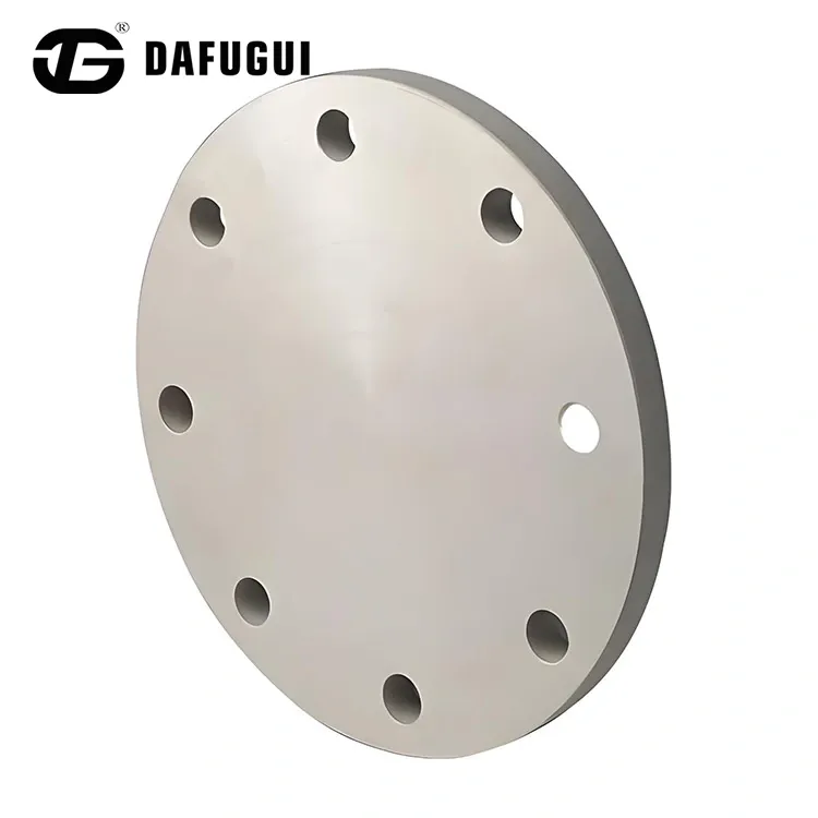 ডুপ্লেক্স স্টিল S32205 ব্লাইন্ড ফ্ল্যাঞ্জ